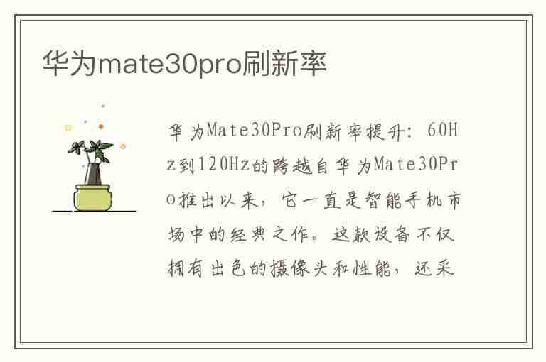 华为mate30pro刷新率(华为mate30pro刷新率在哪里调)